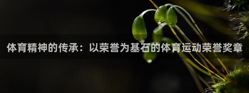 米兰体育在线：体育精神的传承：以荣誉为基石的体育运动荣誉奖章