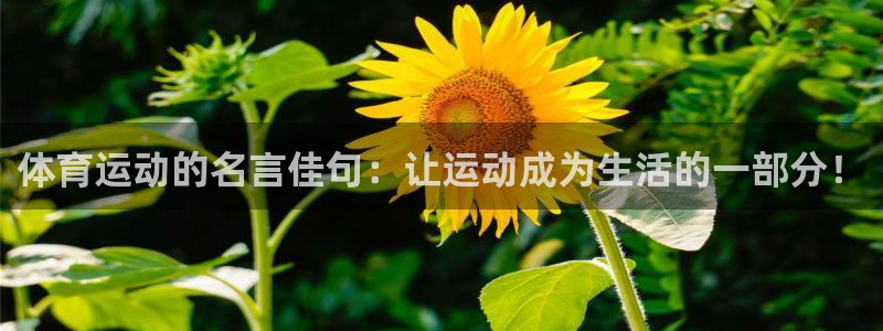 米兰体育.：体育运动的名言佳句：让运动成为生活的一部分！