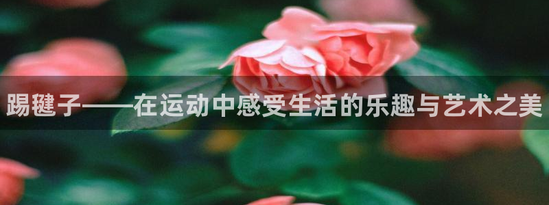 米兰体育官网入口：踢毽子——在运动中感受生活的乐趣与艺术之美