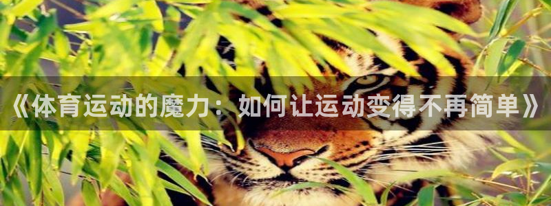 米兰体育报：《体育运动的魔力：如何让运动变得不再简单》