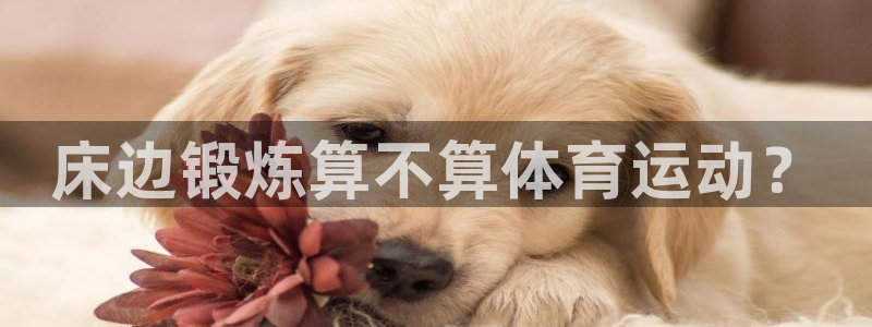 米兰体育怎么样：床边锻炼算不算体育运动？