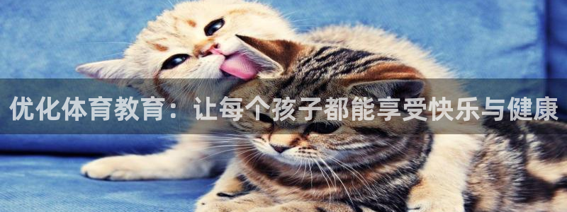 米兰体育场：优化体育教育：让每个孩子都能享受快乐与健康