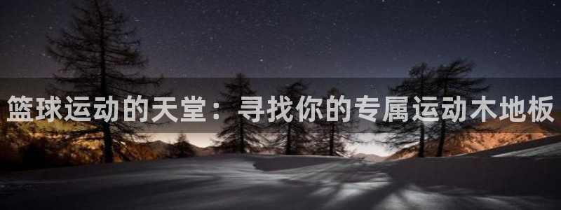 米兰体育入口：篮球运动的天堂：寻找你的专属运动木地板