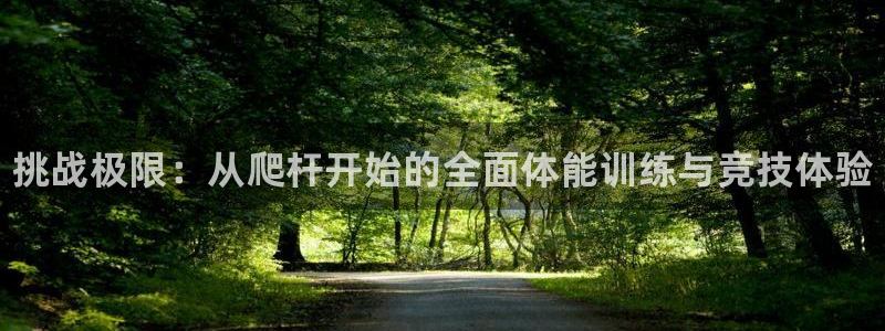 米兰体育：挑战极限：从爬杆开始的全面体能训练与竞技体验