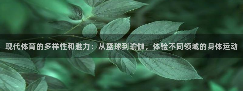 米兰体育网址：现代体育的多样性和魅力：从篮球到瑜伽，体验不同领域的身体运动