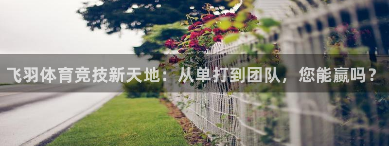 米兰体育官网入口：飞羽体育竞技新天地：从单打到团队，您能赢吗？