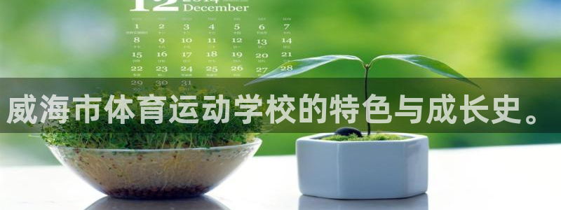 米兰体育平台：威海市体育运动学校的特色与成长史。