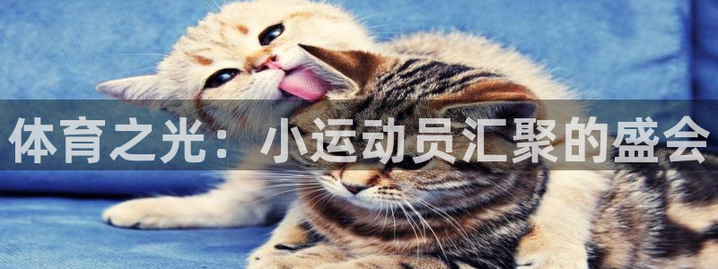 米兰体育app下载：体育之光：小运动员汇聚的盛会