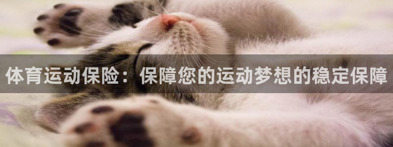 米兰体育网页版：体育运动保险：保障您的运动梦想的稳定保障