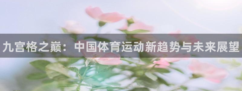 米兰体育综合官网：九宫格之巅：中国体育运动新趋势与未来展望
