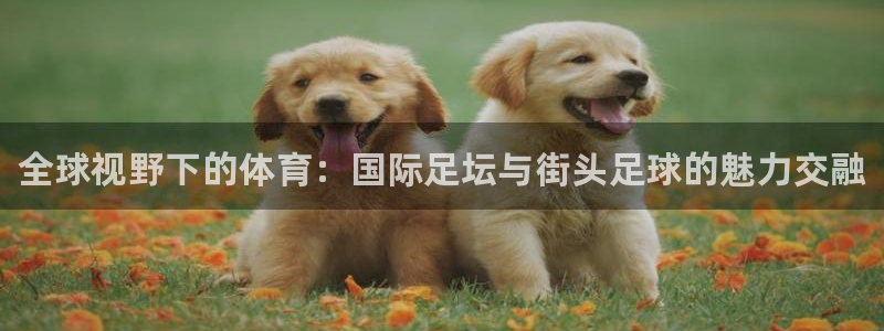 米兰体育报：全球视野下的体育：国际足坛与街头足球的魅力交融