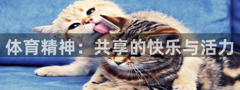 米兰体育：体育精神：共享的快乐与活力