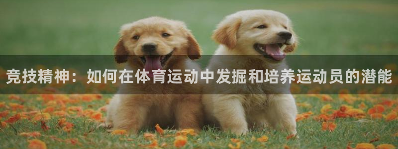 米兰体育入口：竞技精神：如何在体育运动中发掘和培养运动员的潜能