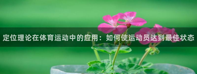 米兰体育下载：定位理论在体育运动中的应用：如何使运动员达到最佳状态