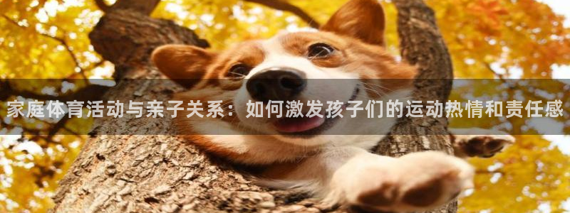 米兰体育下载官网最新版：家庭体育活动与亲子关系：如何激发孩子们的运动热情和责任感